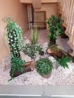 Belső kert Belső kert